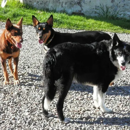 Bed & Breakfast Barndromin Farm Oban
