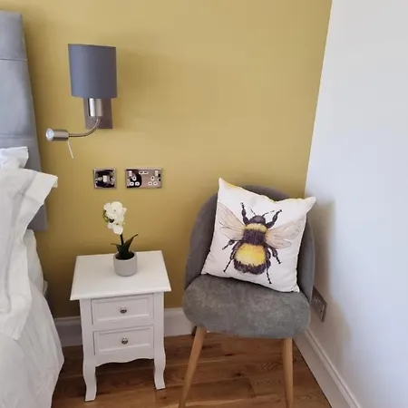 Homestay Ardchoille The Den *
