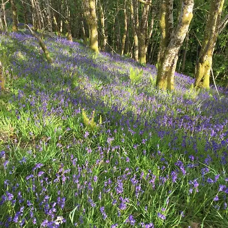 Inverasdale * Oban