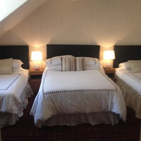Guest house Cameron 3*