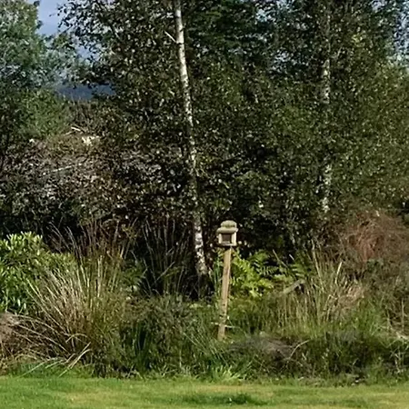 Tawny Owl Pod With Hot Tub * Oban