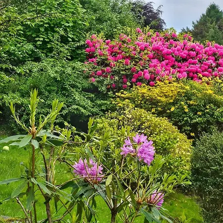 Bed & Breakfast Ards House Oban