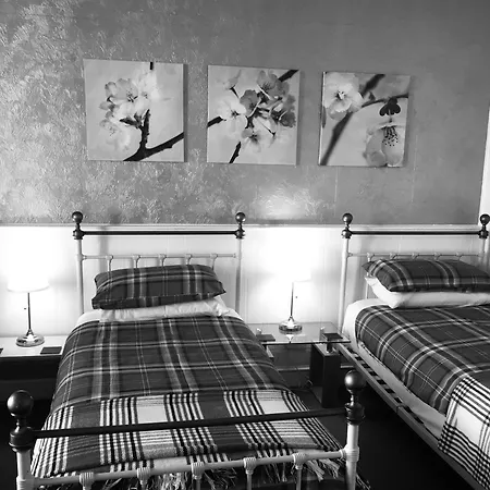 Guest house Cameron 3*