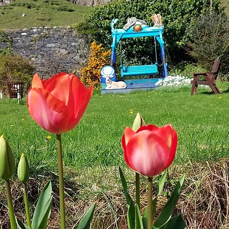 Garragh Mhor Acomodação com café da manhã 