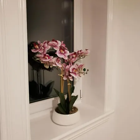 Stevenson In Apartment *