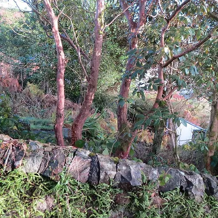 Elmbank Garden Apartment